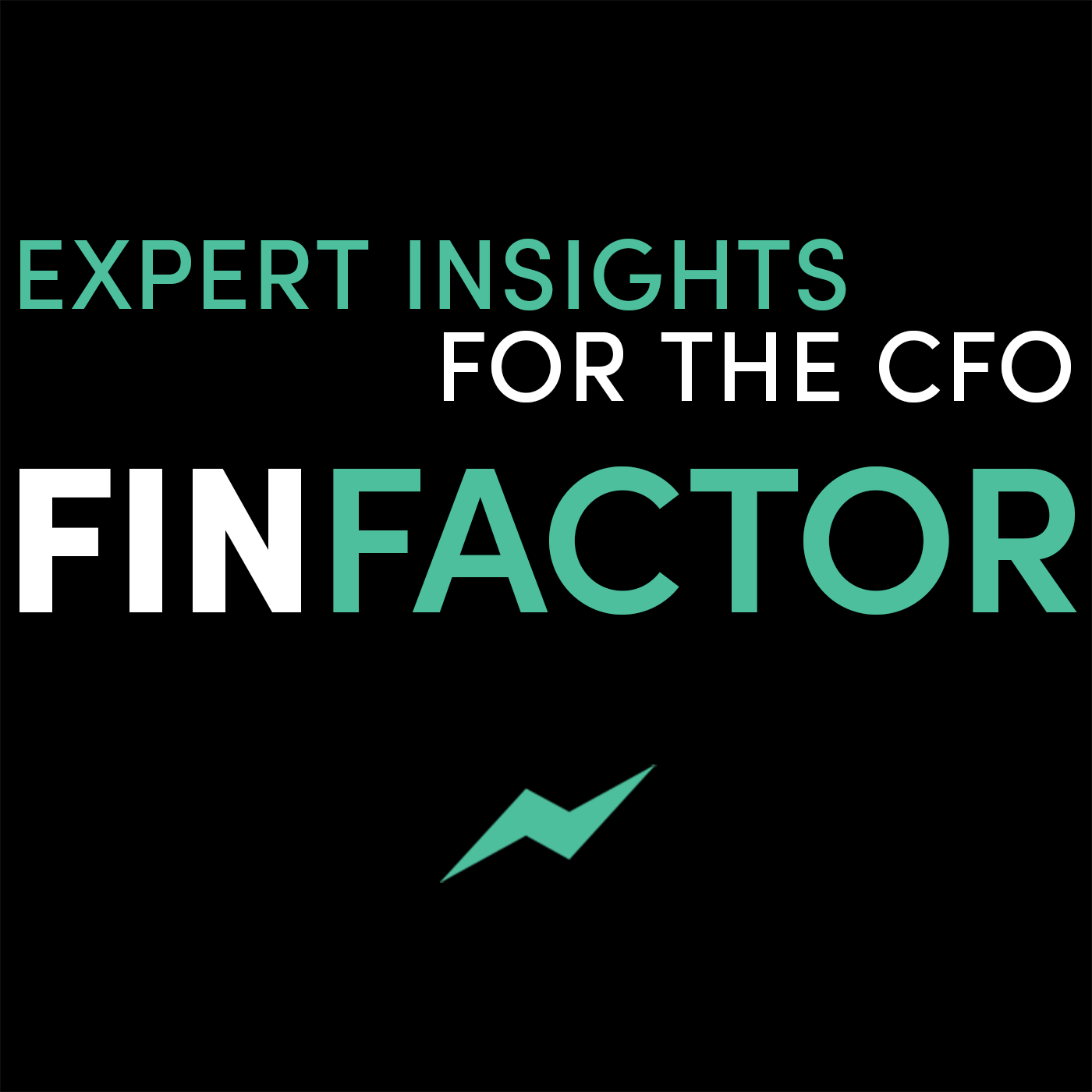 FinFactor: Expert Insights for the CFO